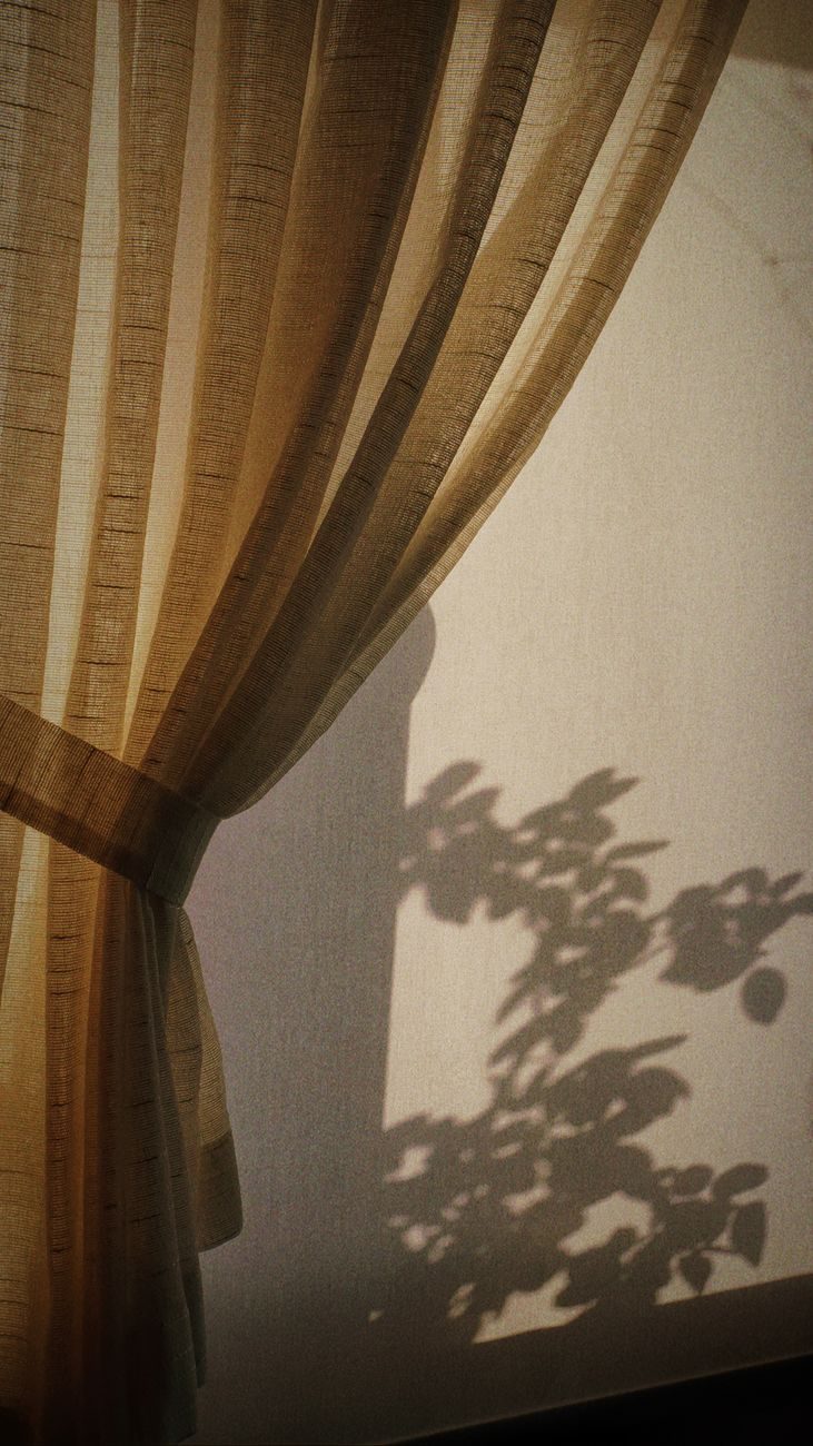 A plant's shadow cast on a sunlit wall beside a sheer curtain